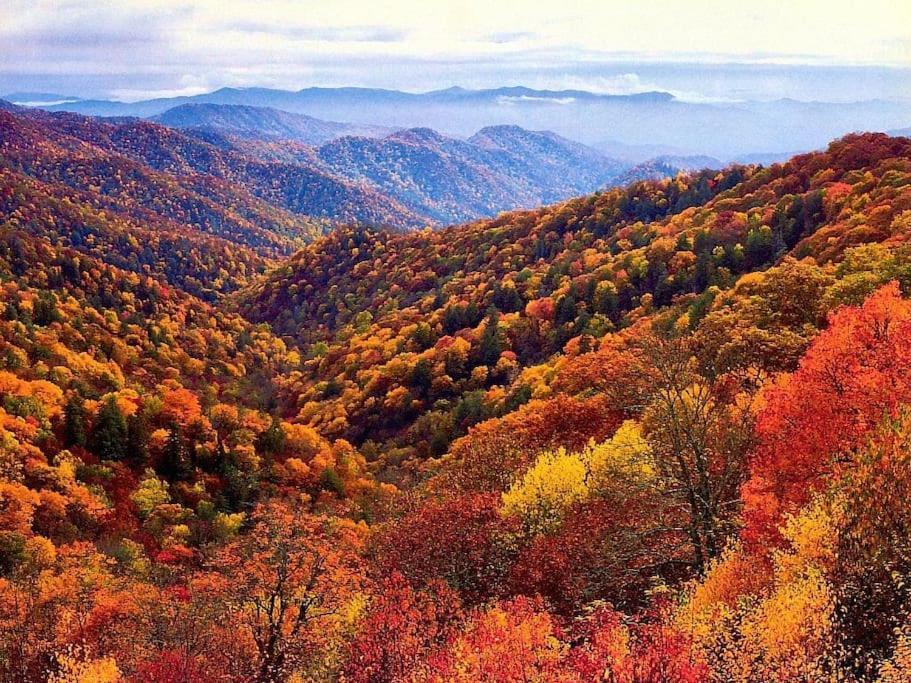 Bourbon Hollow Lodge With Hot Tub And Pool Plus Game Room Only 5 Min To Downtown 개틀린버그 외부 사진
